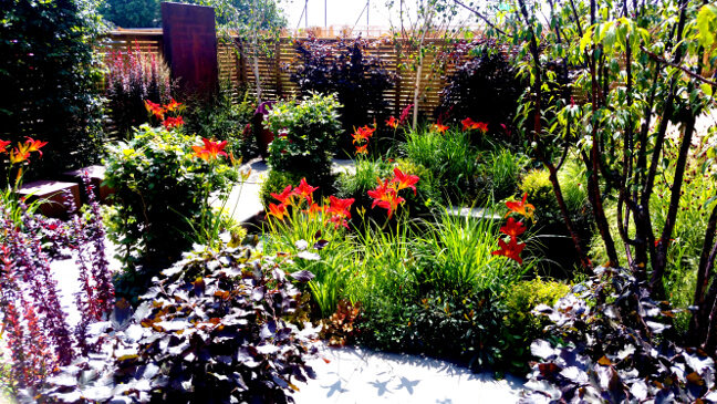 rhs-hampton-court-2